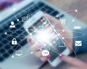 成都网站建设与域名交易指南 一站式互联网服务解决方案